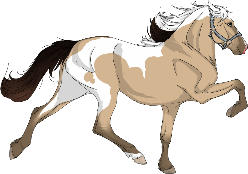 View Topic - Stallion (900x600)