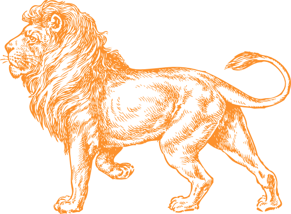 Mammal Clipart Name - Lion Full Body Drawing (600x442)