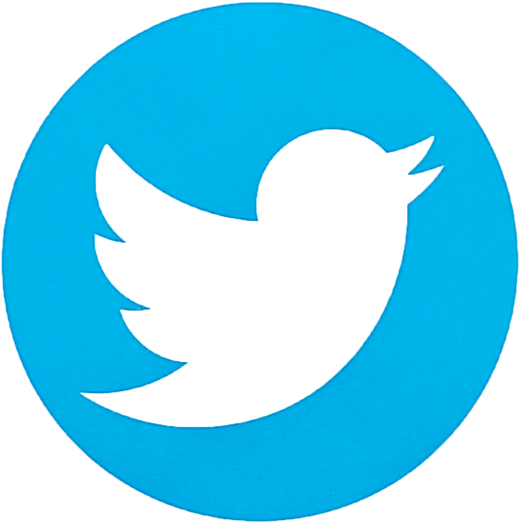 Twitter Facebook Email - Transparent Background Twitter Logo (1054x1060)