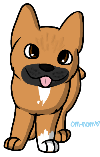 Whiskers Puppy Cat Red Fox Dog Breed - Dog (432x598)