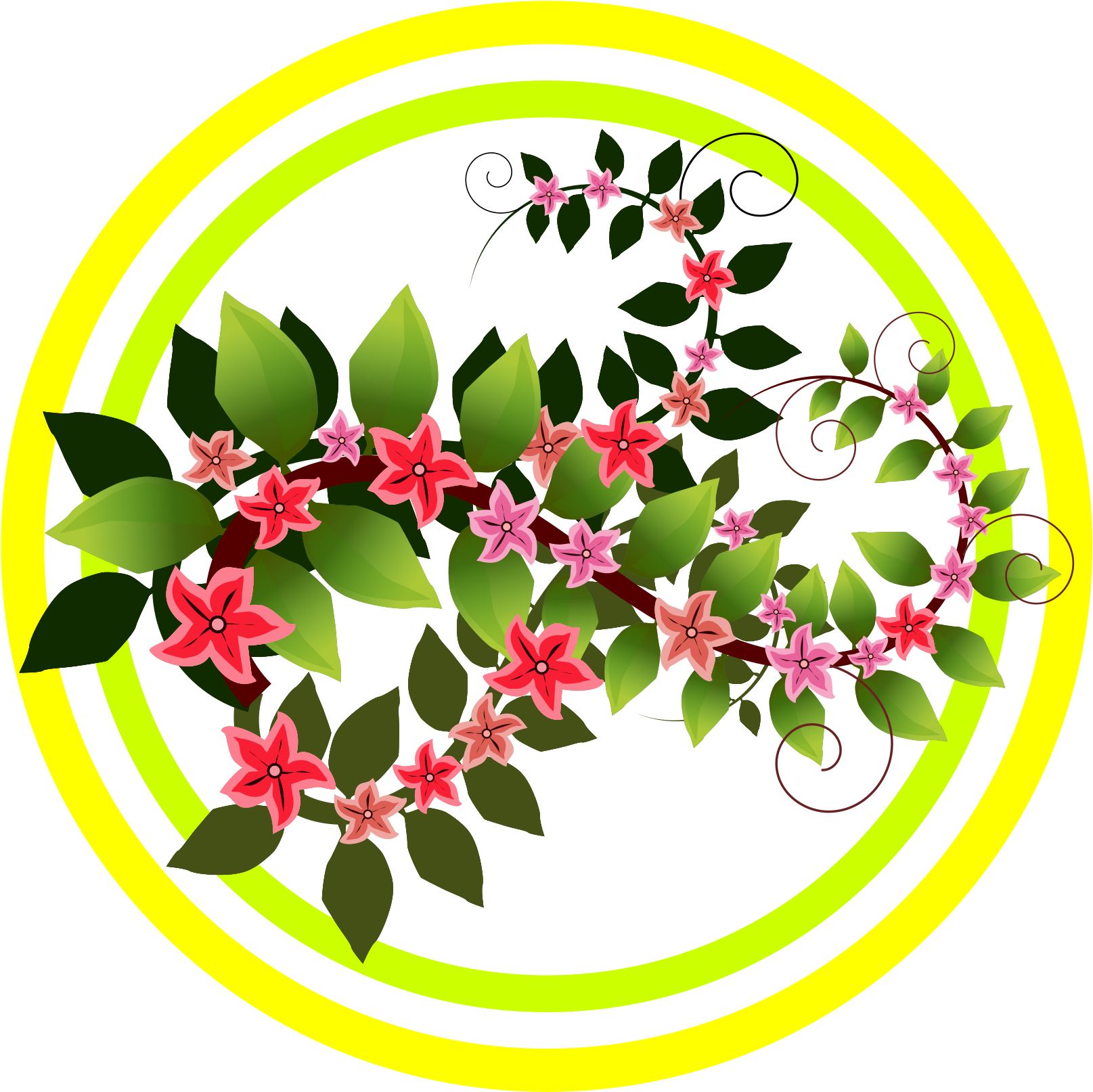 Flowery Branch - Clip Art (1697x2400)