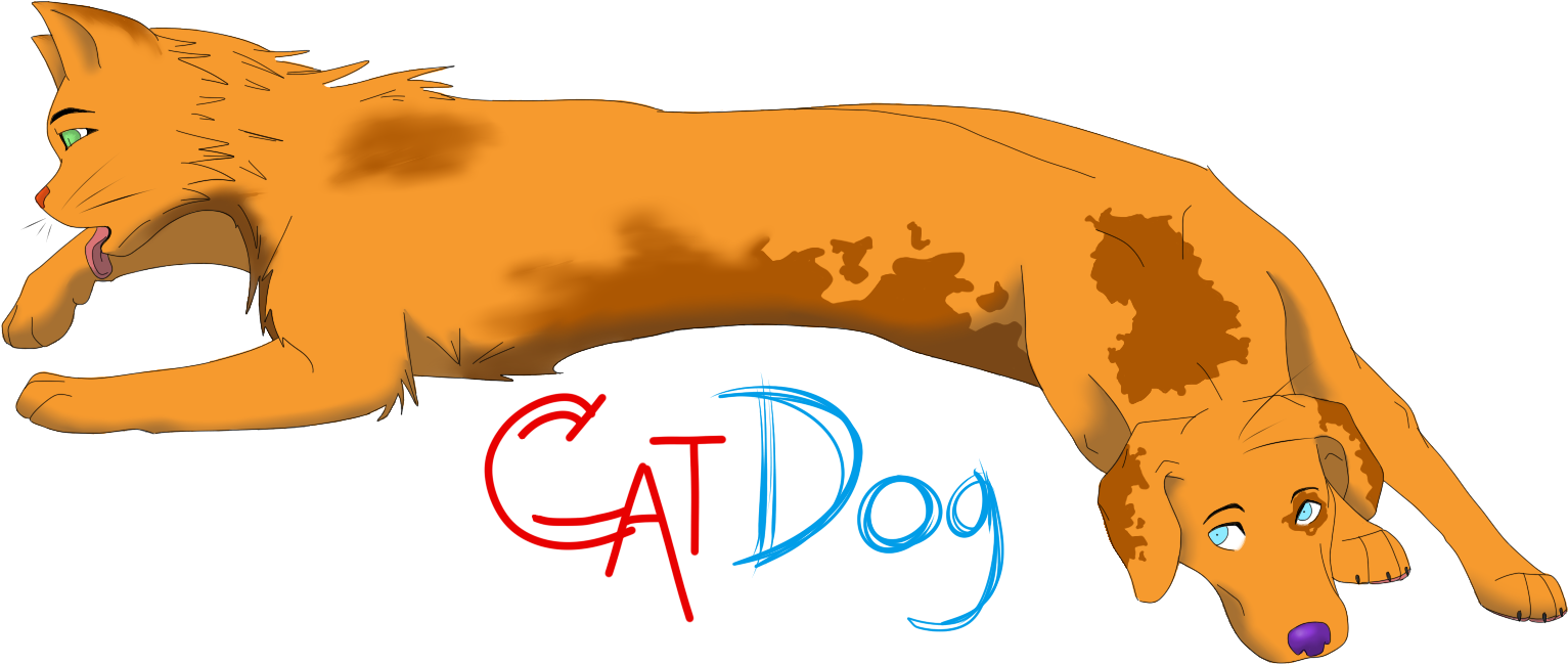 Cat Lion Dog Mammal Paw - Hippopotamus (1578x709)