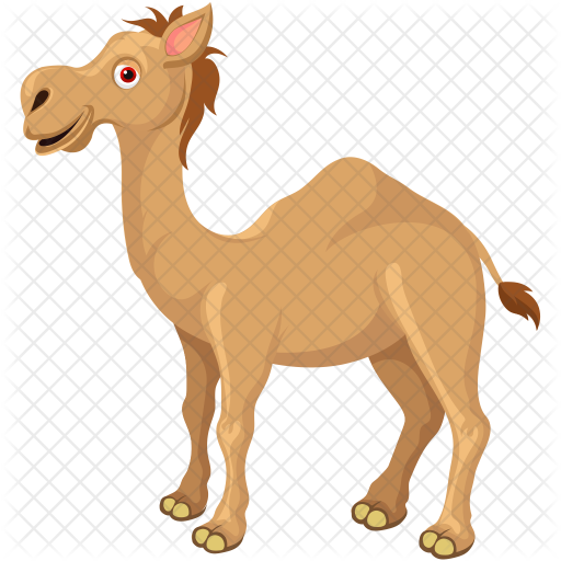 Camel Icon - Camel (512x512)