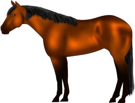 Qh-bay - American Quarter Horse Gif (475x418)