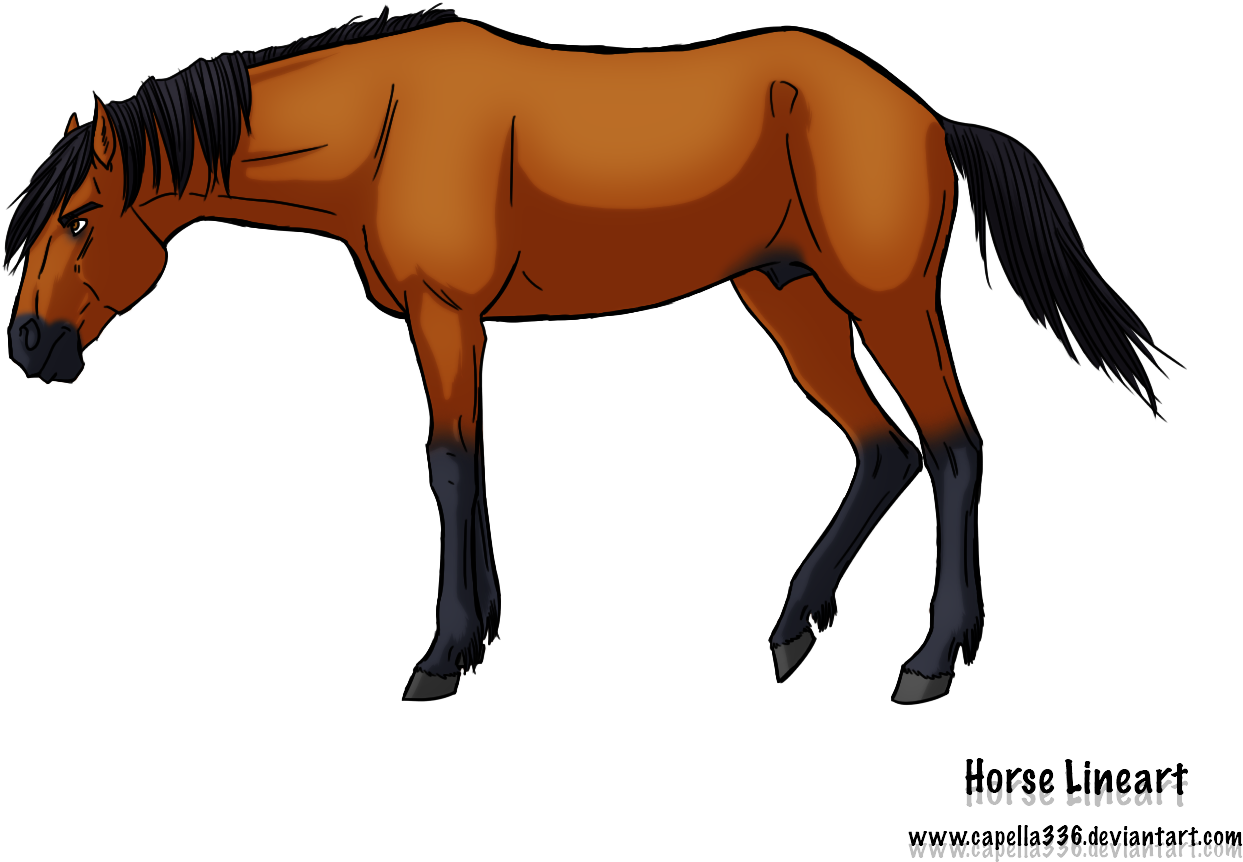 Free Horse Lineart Psd - Deviantart Stallion (1441x1035)