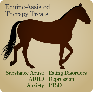 Straight From The Horse's Mouth - Learn Horseback Riding In A Weekend [book] (350x350)