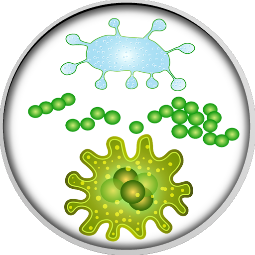 Bacteria Microorganism Microbiota Virus - Human Microbiota (512x512)