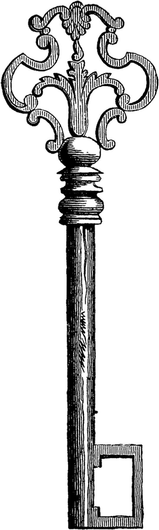 Alice's Adventures In Wonderland Skeleton Key Drawing - Vintage Alice In Wonderland Clip Art (544x1800)