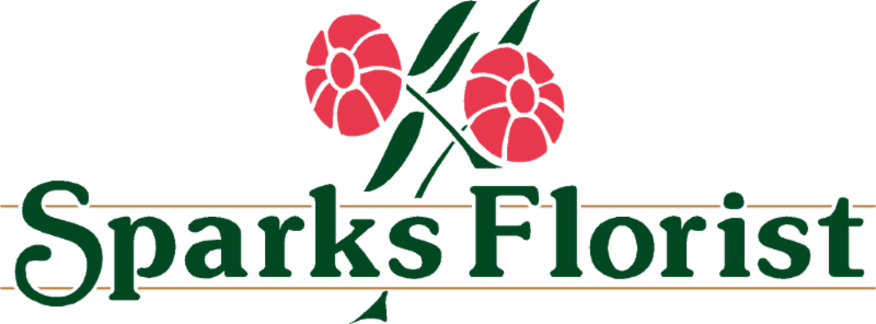 It's Not Too Late - It's Not Too Late (800x296)