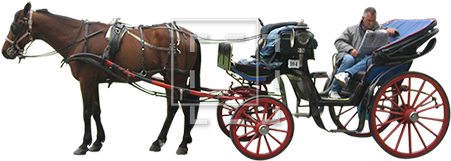 Parent Category - Horse Drawn Carriage Png (450x450)