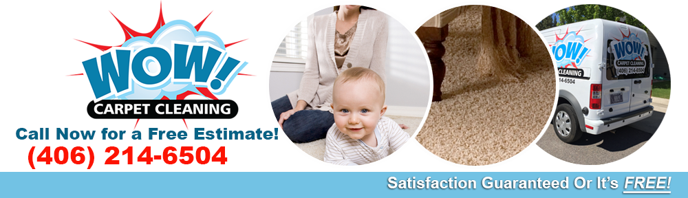 Professional - Baby Crawling On Carpet (1000x288)