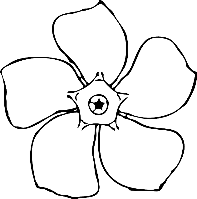 Drawing Head, Black, Top, View, Simple, Outline, Drawing - Black And White Clip Art Flower (631x640)