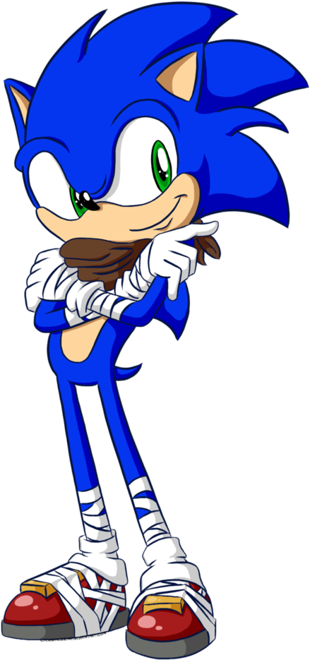 Sonic Boom By Chevertheshrimp On Deviantart - Cartoon (772x1034)