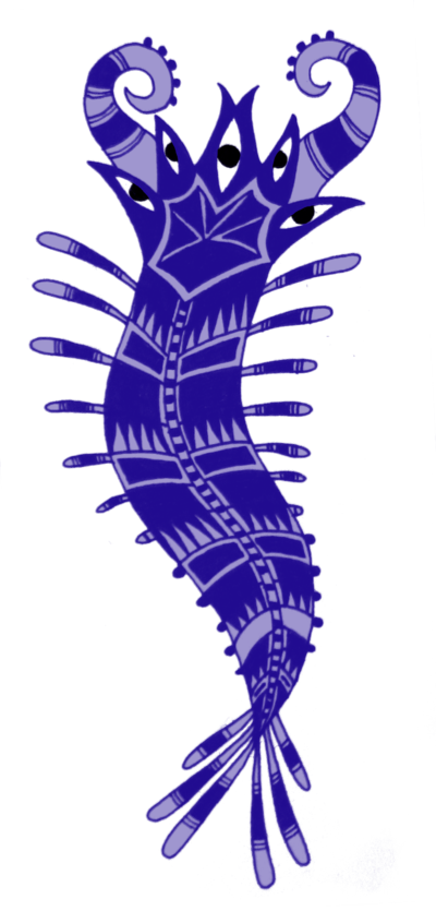 Strange Shrimp By Commander-salamander - Strange Shrimp By Commander-salamander (400x835)