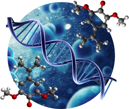 Shrimp Probiotics - Illustration (655x450)