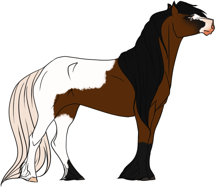 Mustang Stallion Foal Mare Colt - Stallion (800x800)