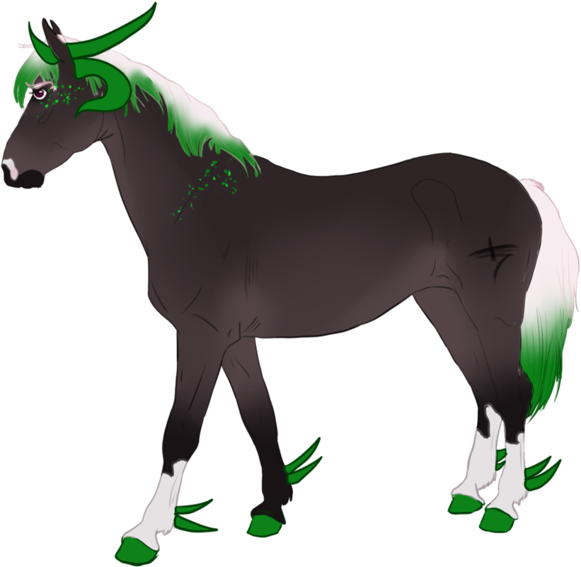 Missouri Fox Trotter Thoroughbred Arabian Horse Mare - Foal (949x842)