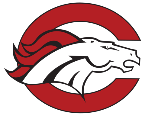 The Palm Beach Gardens Gators Vs - Palm Beach Central High School Mascot (480x384)