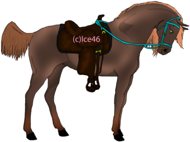 Image N I G H T S T A R - Sorrel (400x303)