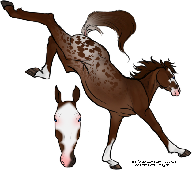 Finished Foal - Sorrel (627x554)