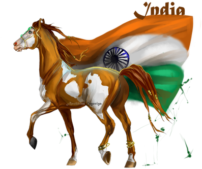 India By Musonart - Hetalia Horses India (438x350)