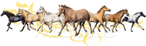 Herd Of Horses With Tribal Design - Foal (600x600)