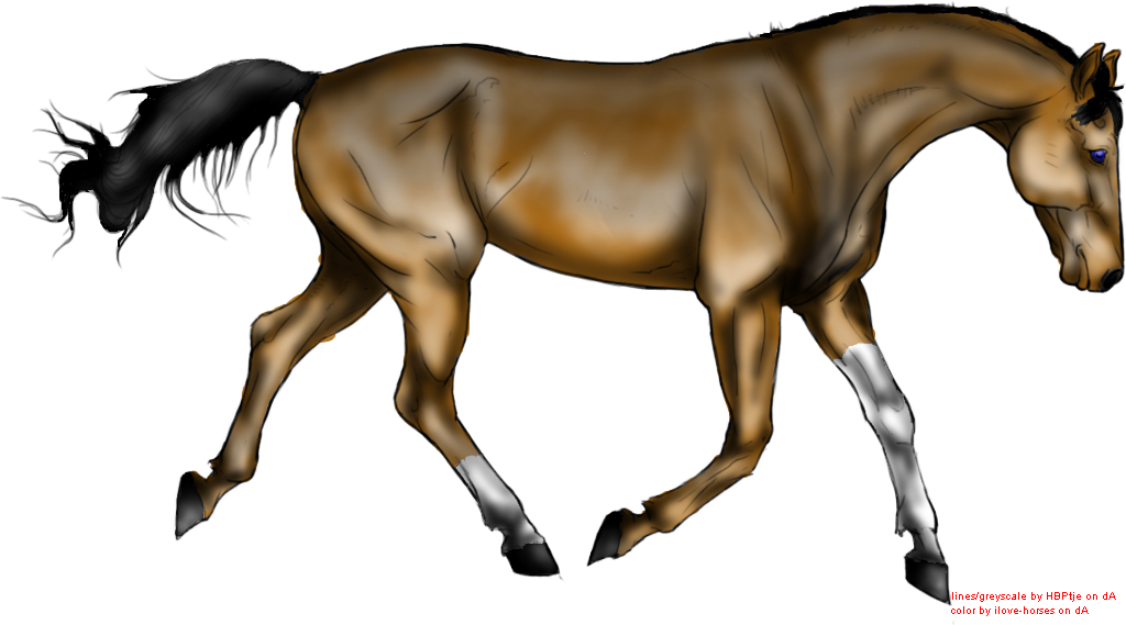 Fc05 - Deviantart - Net/fs70/f/201 - Stallion (1024x569)