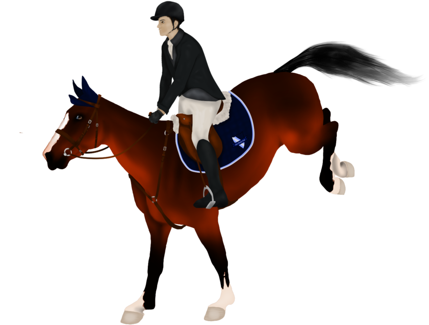 Hunt Seat Equestrian Clip Art - Equitation (1095x730)