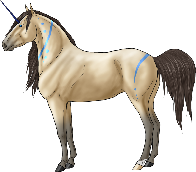 Spirit Horse Drawings Download - Stallion (900x720)