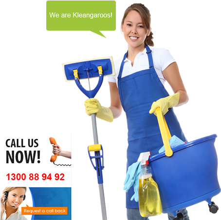Domestic Cleaning - Cleaning Person (467x450)