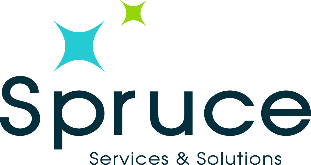Spruce Services & Solutions - Incentive Solutions (1000x531)