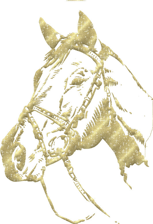 Horse Head In Bed Picture Best Pictures Top Photos - Stitch (658x800)