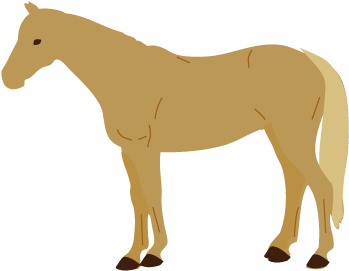 4 - Moderately Thin - Mane (384x320)