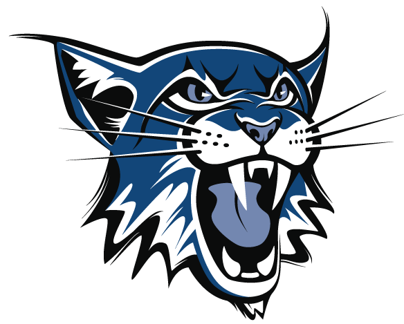 Lynden Christian School Lynx Mascot Balls Helmets Pinterest - Epo 74 (600x470)