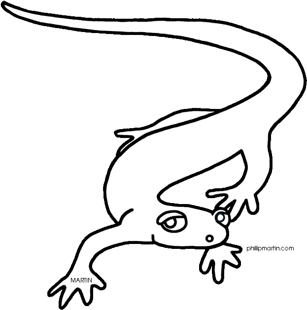 Salamander Clip Art - Reptile (642x648)