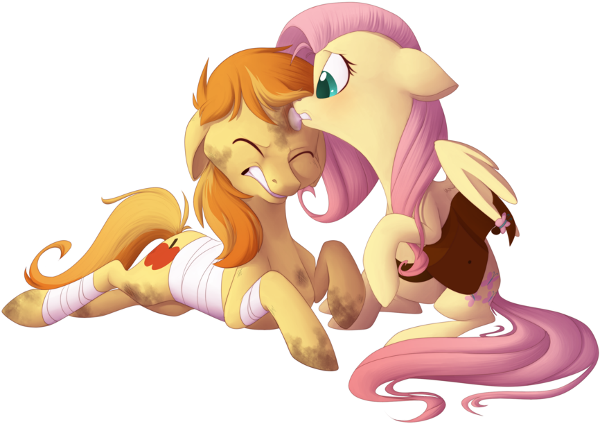 My Little Pony Friendship Is Magic Season 5 Wikipedia - Mlp Fluttershy And Braeburn (900x655)