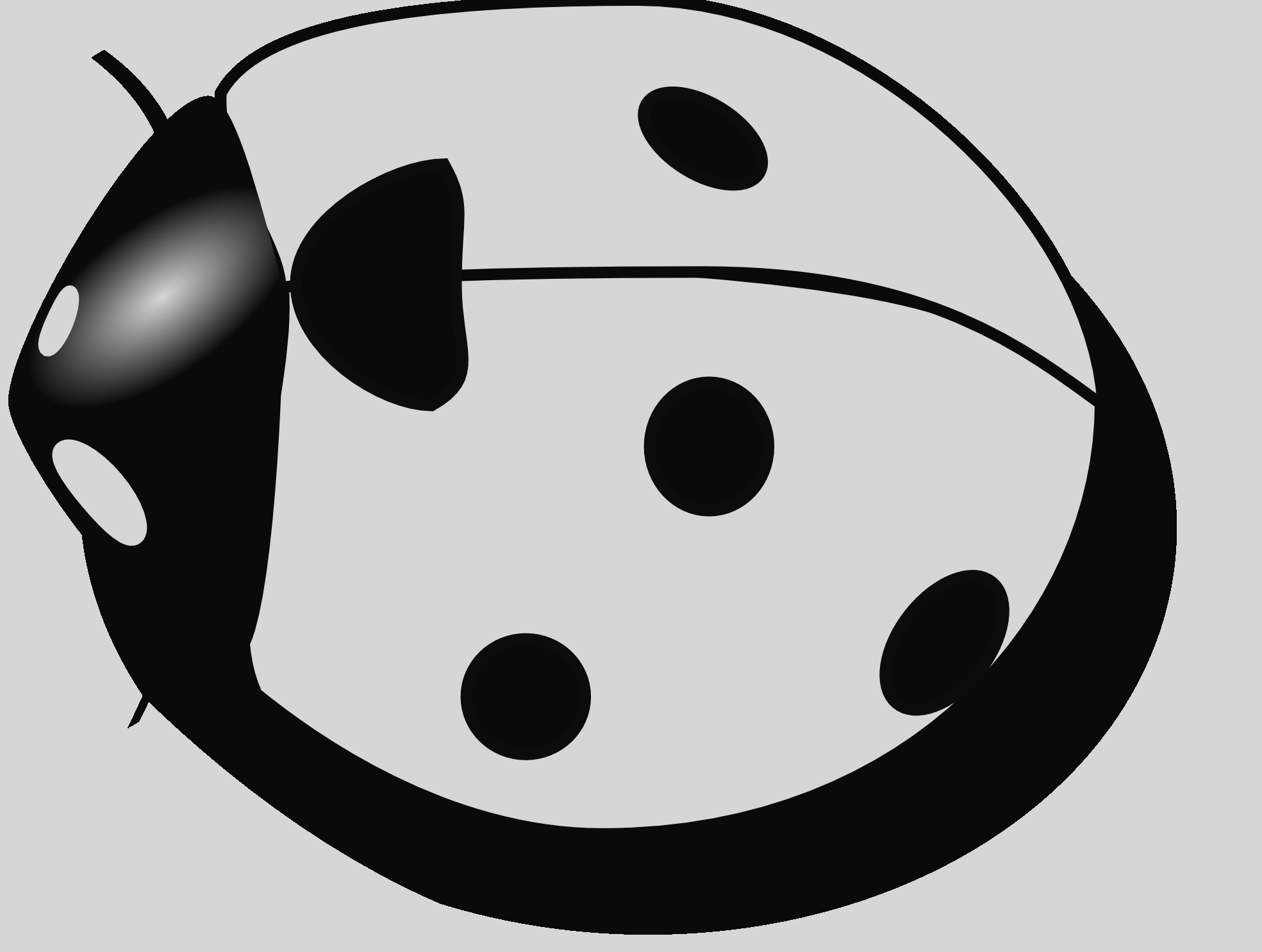Ladybug Clipart Black And White Bug Clip Art Free Black - Clip Art (1969x1485)