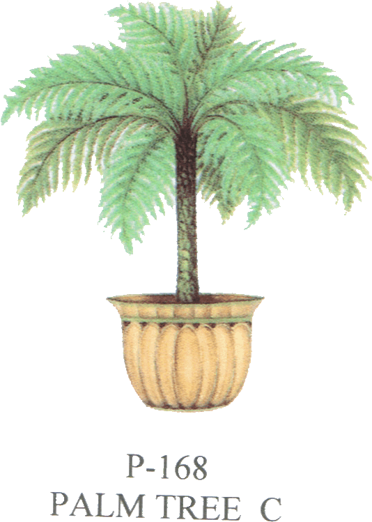 Palm Tree, Trees, Plants, Pottery - Flowerpot (624x816)
