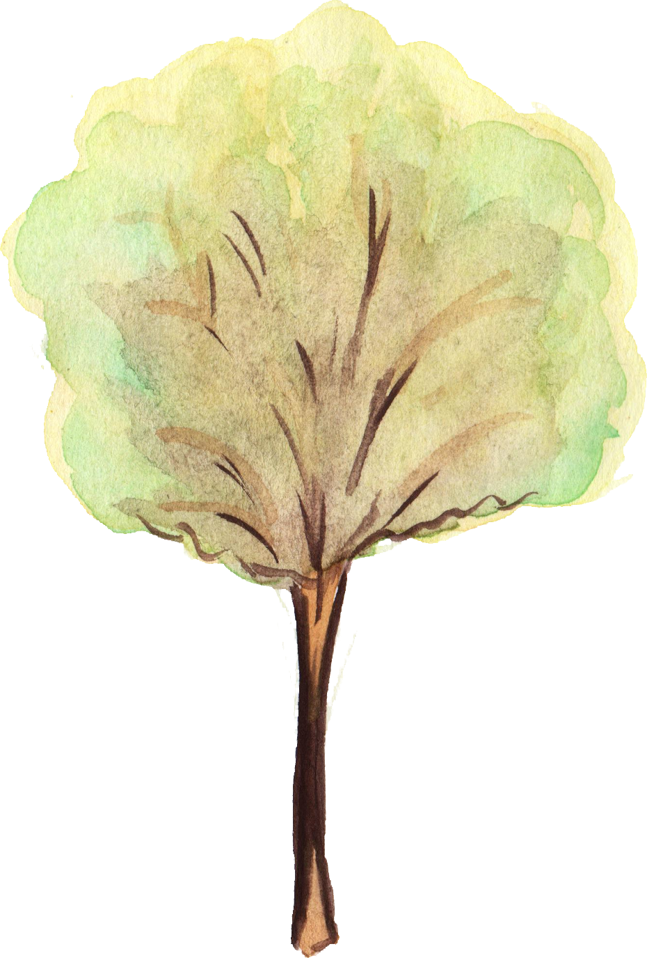 Free Download - Watercolor Tree Png (930x1376)