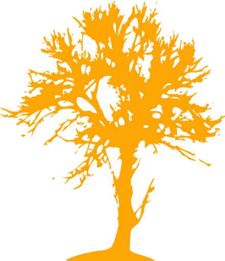 Art Print: Tree Of Wisdom 2 By Sheldon Lewis : 13x13in (512x512)