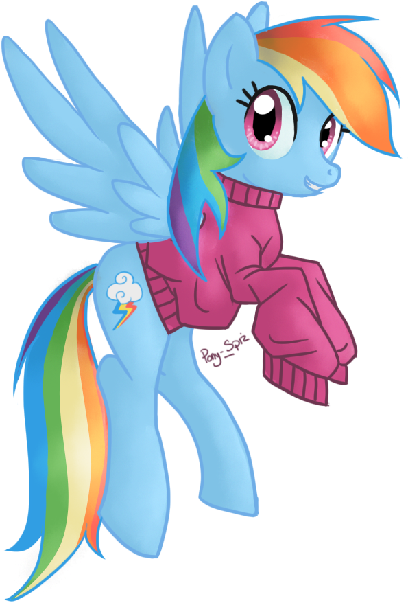 Shetland Pony Pony Rarity Rainbow Dash Pinkie Pie Applejack - Mlp Pony In Sweater (689x914)