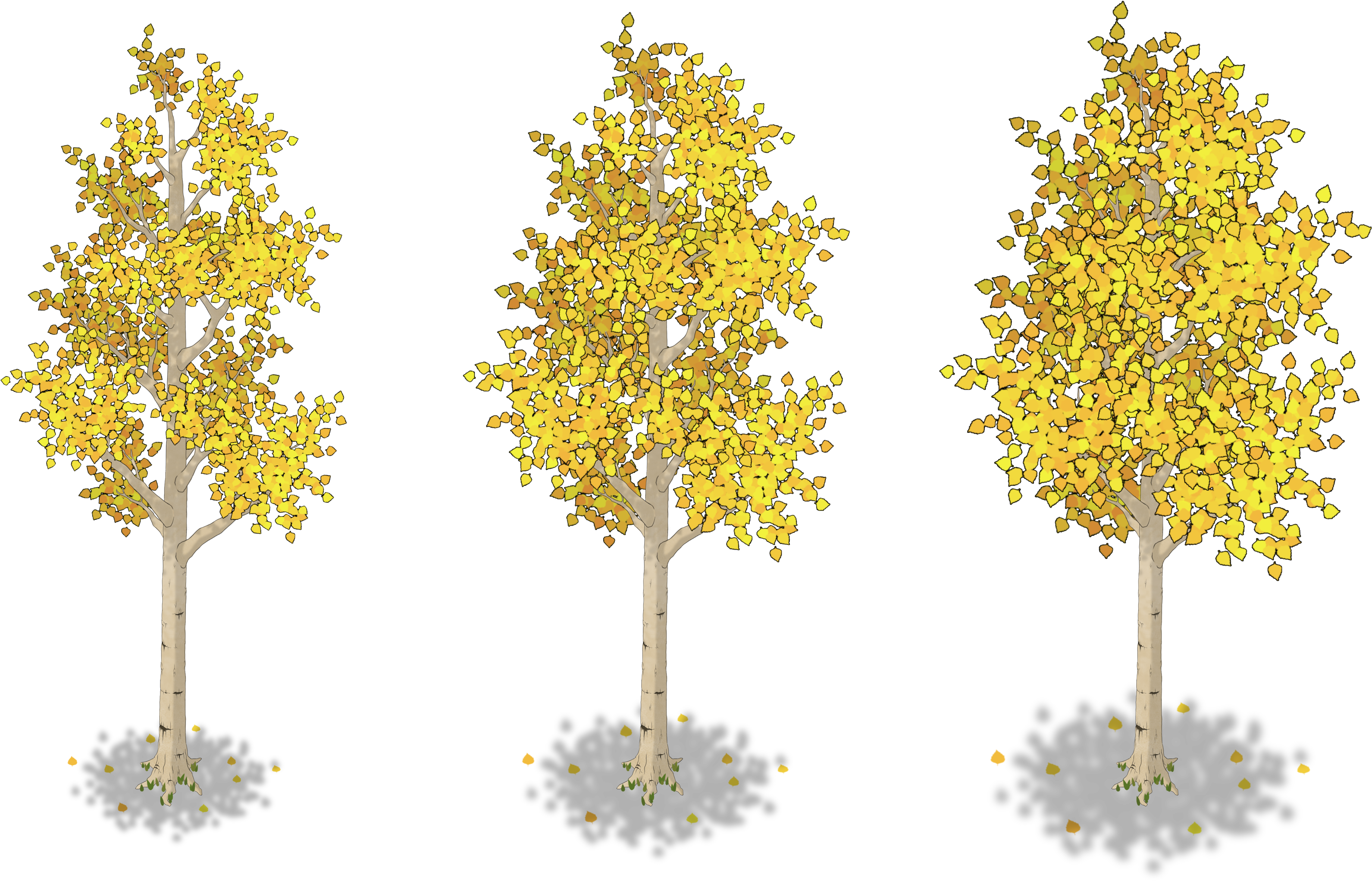Initially, I Intended For The Trees To Be Animated - Plane-tree Family (4115x2626)