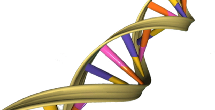 Scientists Want To Get A Handle On Gene Expression - Dna Double Helix (853x427)