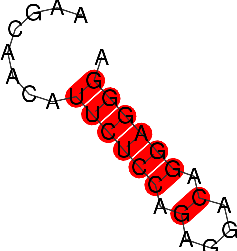 Frnadb Secondary Structures For Pir31218 Gene - Frnadb Secondary Structures For Pir31218 Gene (502x502)