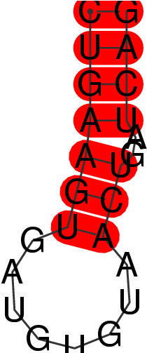 Mrna/cdna For Mir573 Gene - Mrna/cdna For Mir573 Gene (502x502)