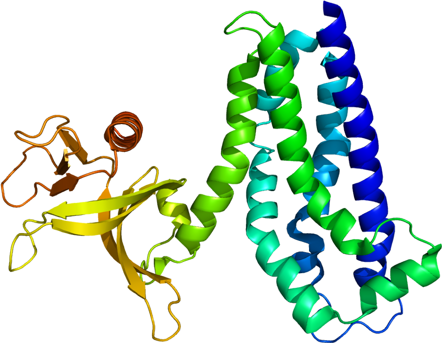 Enciclopedia Libre Universal En Español (953x751)