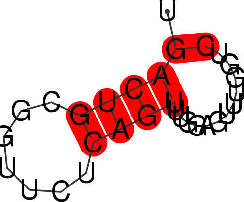 Frnadb Secondary Structures For Pir41091 Gene - Frnadb Secondary Structures For Pir41091 Gene (502x502)