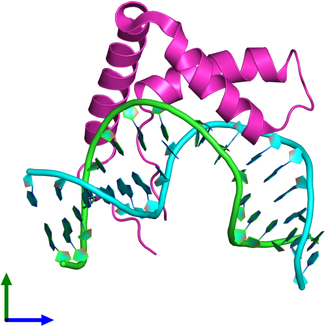 Ribbon Structure Of 3u2b - Ribbon Structure Of 3u2b (800x800)