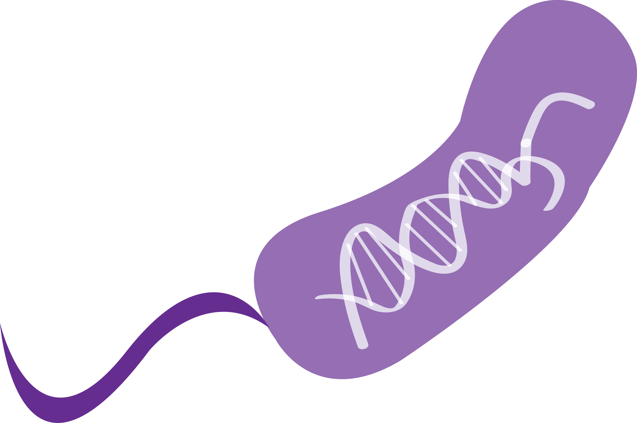 Scientists Discovered Crispr By Analyzing The Immune - Scientists Discovered Crispr By Analyzing The Immune (2224x1478)
