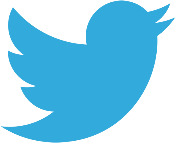 What Is A Favicon - Twitter Logo 2017 Png (600x487)